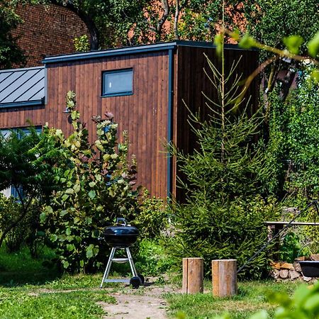 Organicle Lodge Sincraieni Exterior photo