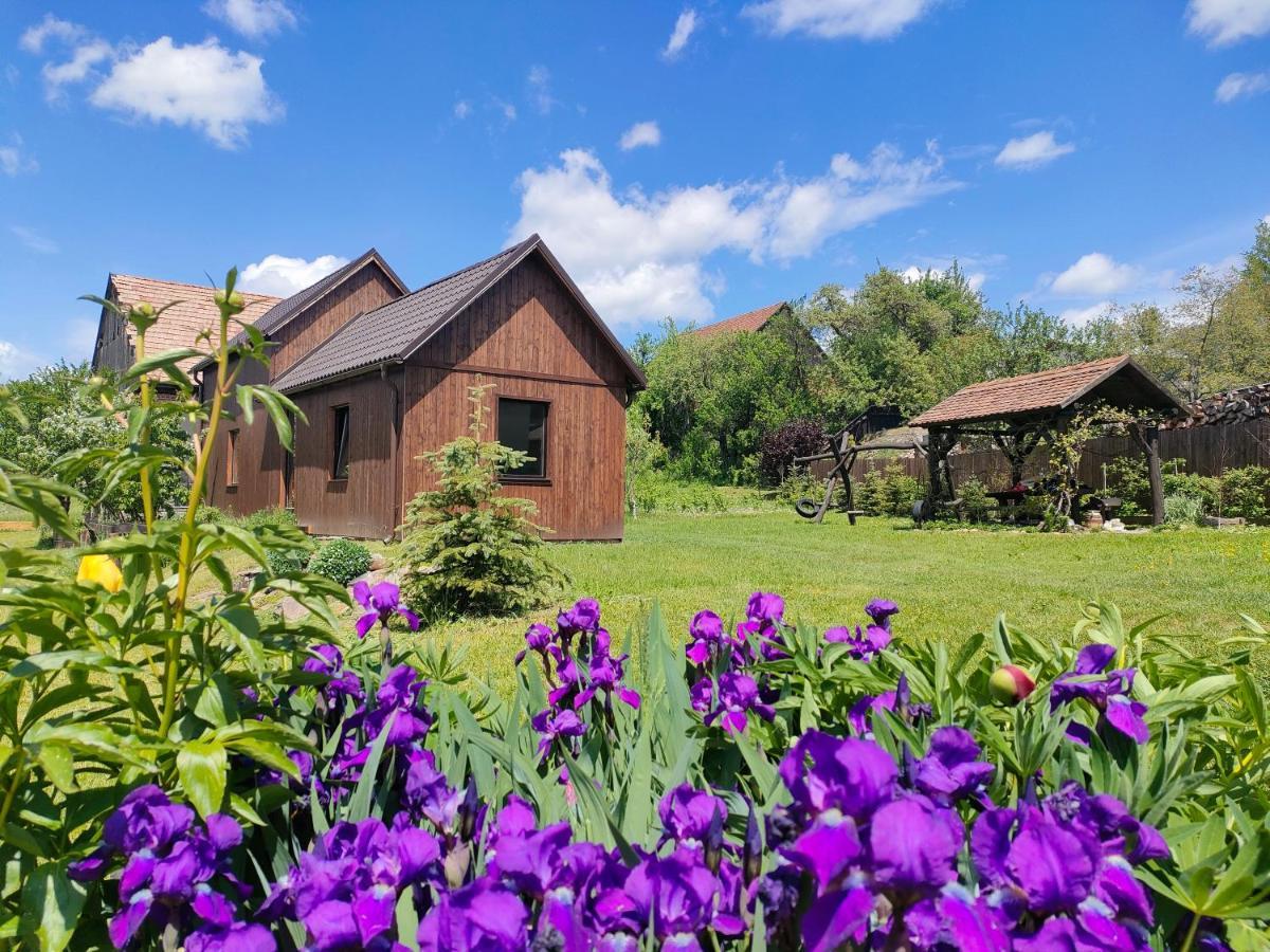 Organicle Lodge Sincraieni Exterior photo