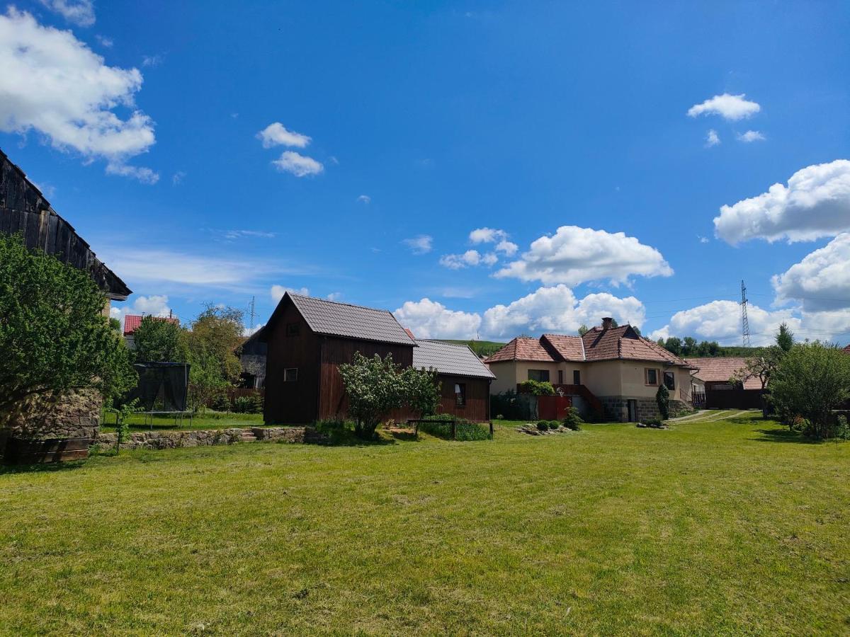 Organicle Lodge Sincraieni Exterior photo