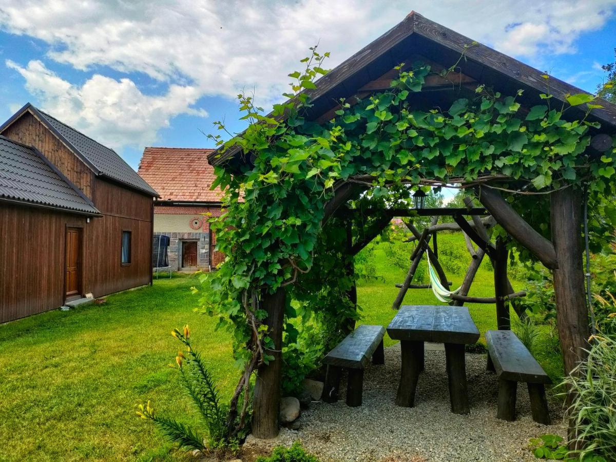 Organicle Lodge Sincraieni Exterior photo