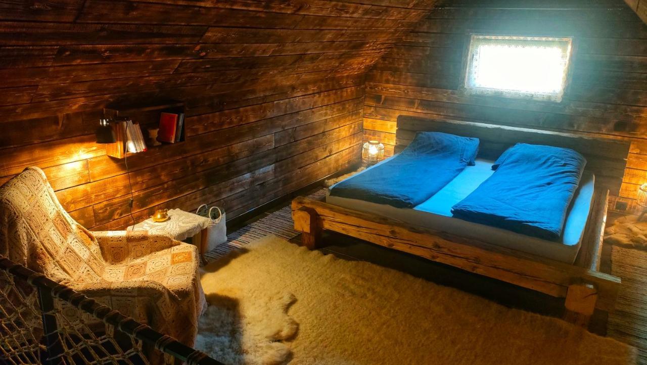 Organicle Lodge Sincraieni Exterior photo