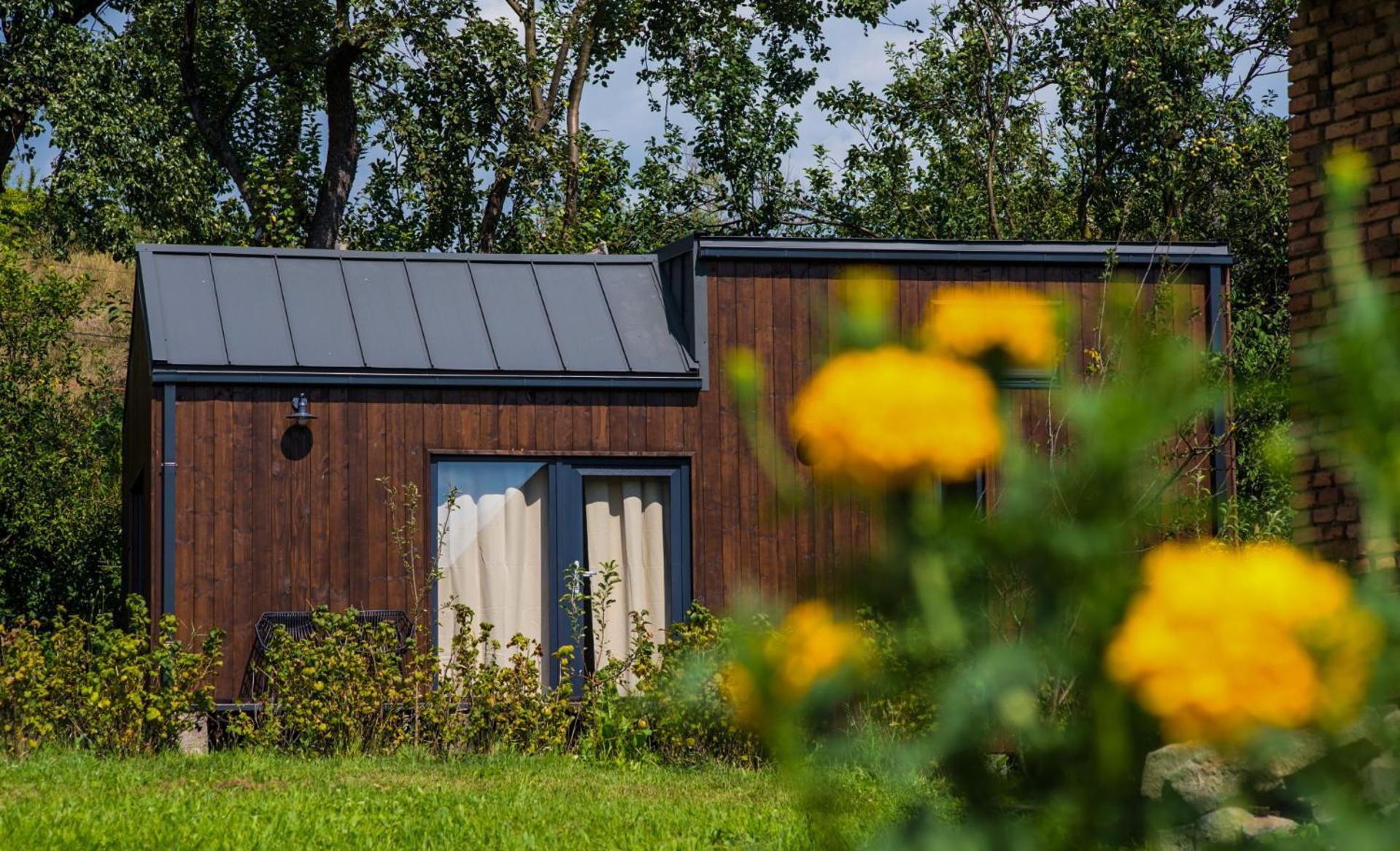 Organicle Lodge Sincraieni Exterior photo